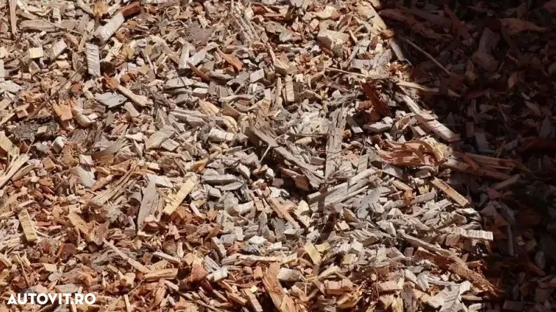 Tocătoare materiale lemnoase ECO FOREST DWC-40 - 7