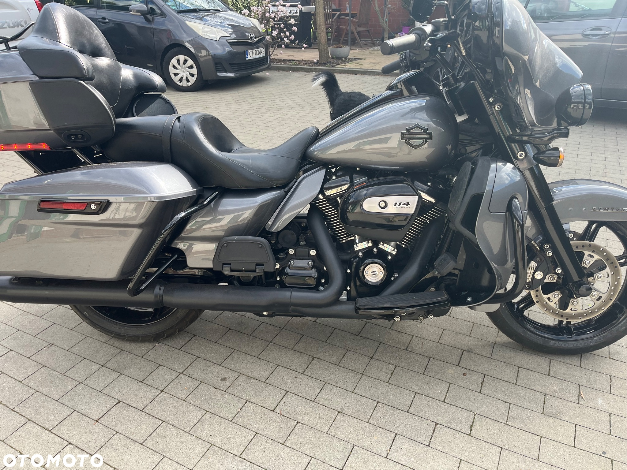 Harley-Davidson FLHS Electra Glide - 6