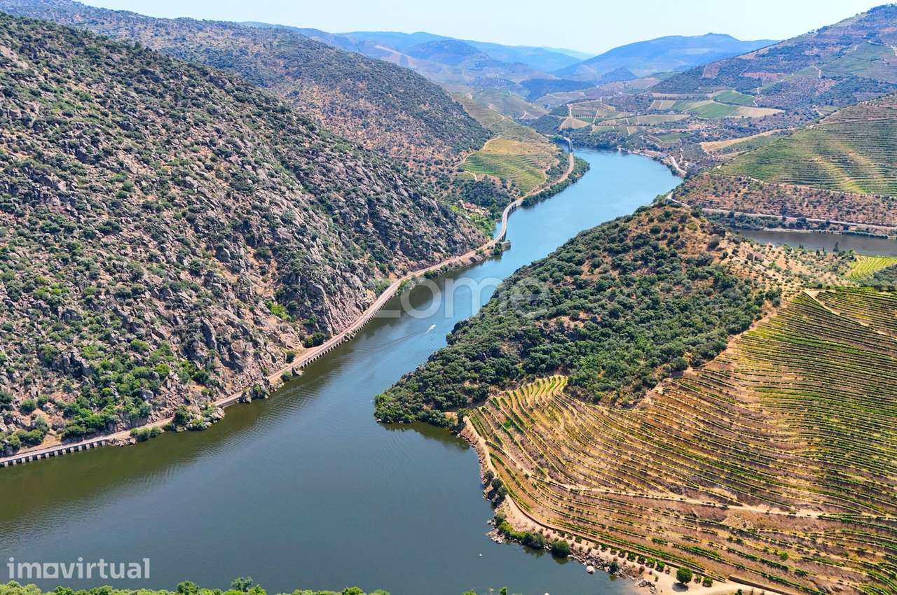 Terreno no Douro com 18.278 m²