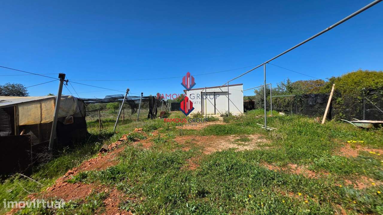 Excelente terreno rústico no concelho de Silves - Grande imagem: 4/48