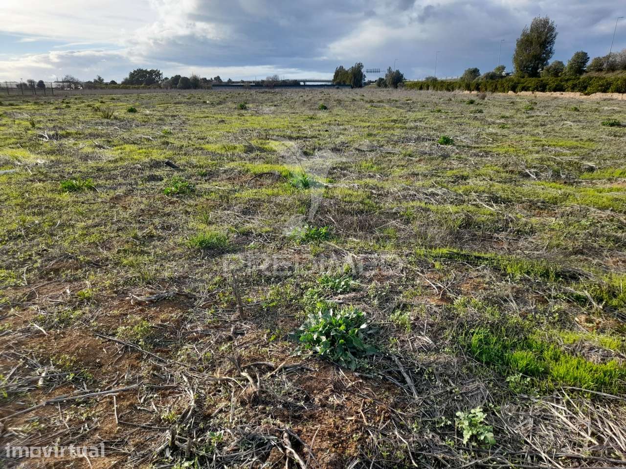 Dois terrenos rusticos com área 11400m2  na saida de Faro - Grande imagem: 4/7
