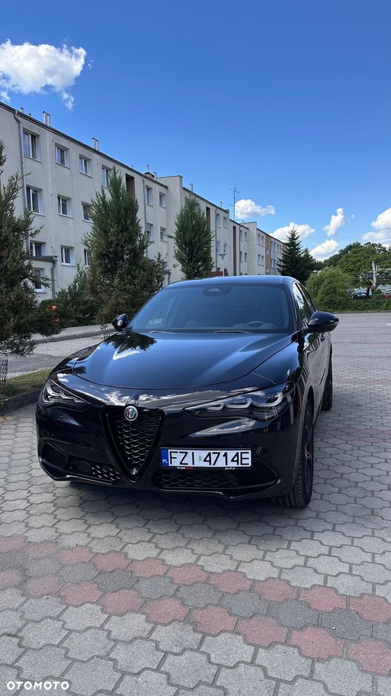 Alfa Romeo Stelvio 2.0 Turbo Veloce Q4 - 14