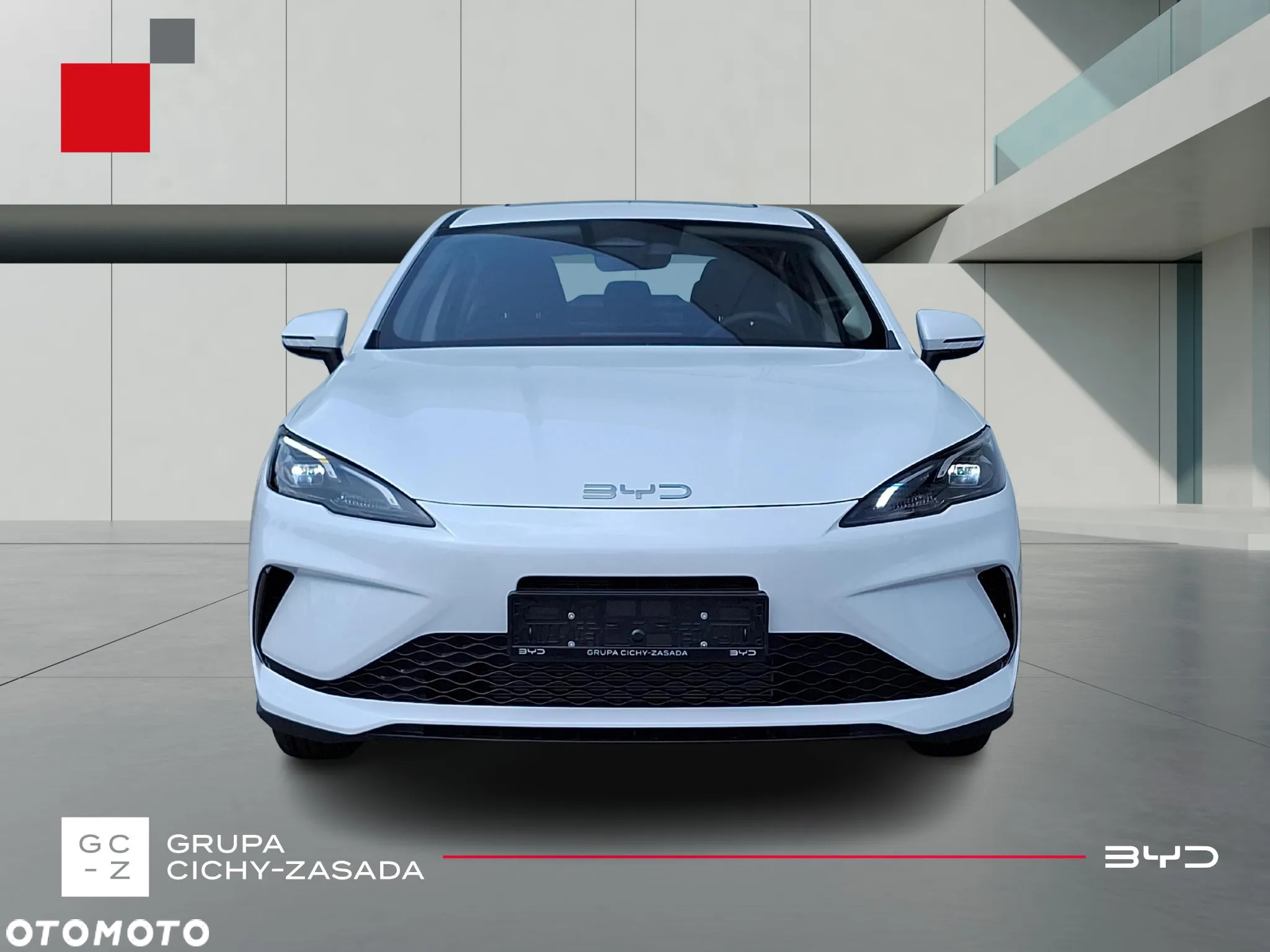 BYD Inny - 9