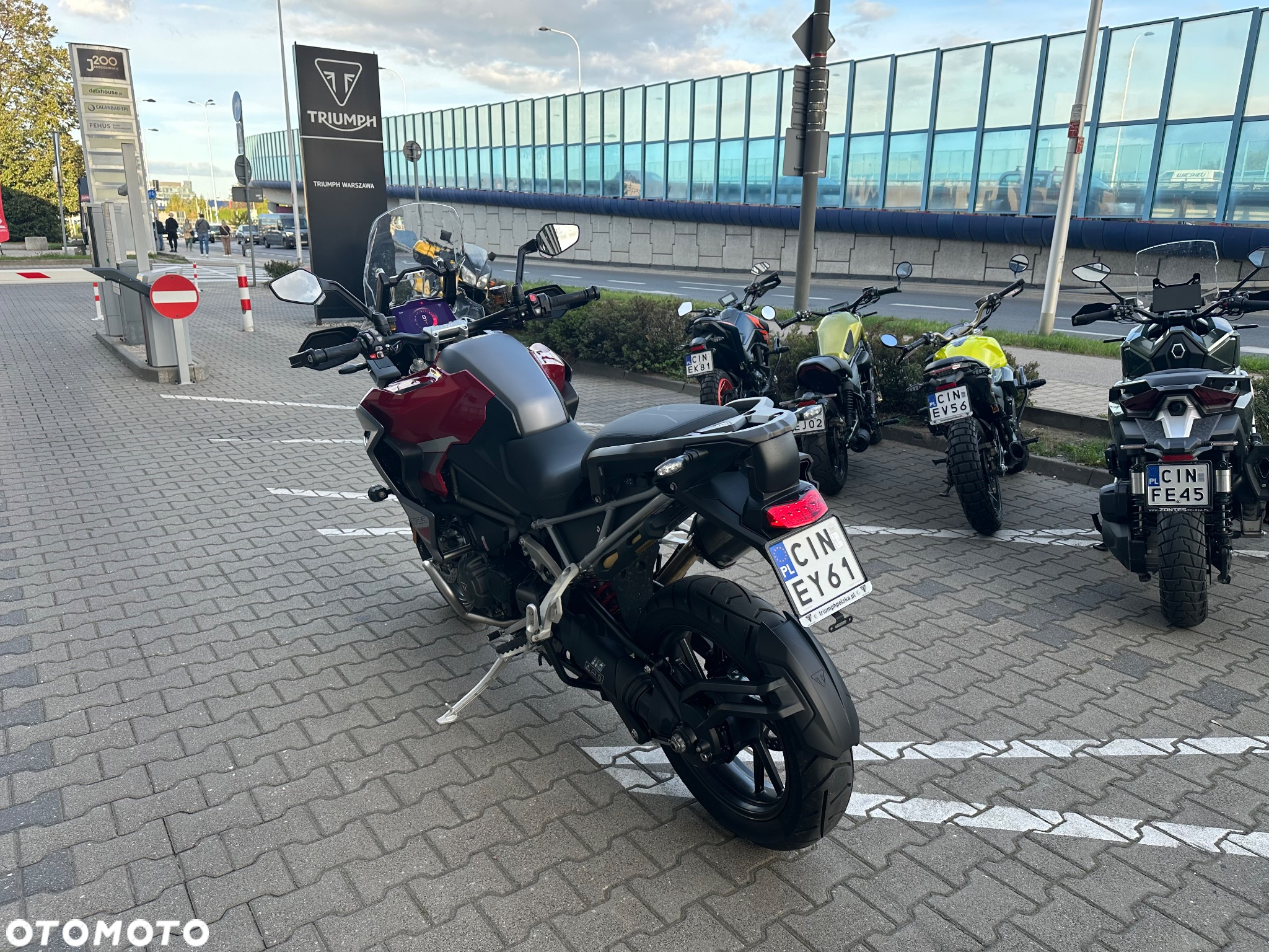Triumph Tiger - 5