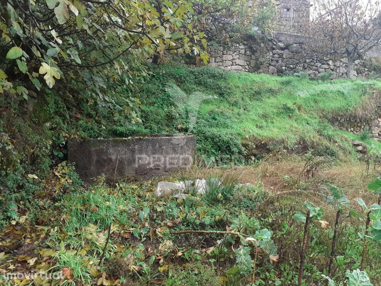 Terreno para Construção - Frechão - Grande imagem: 3/9