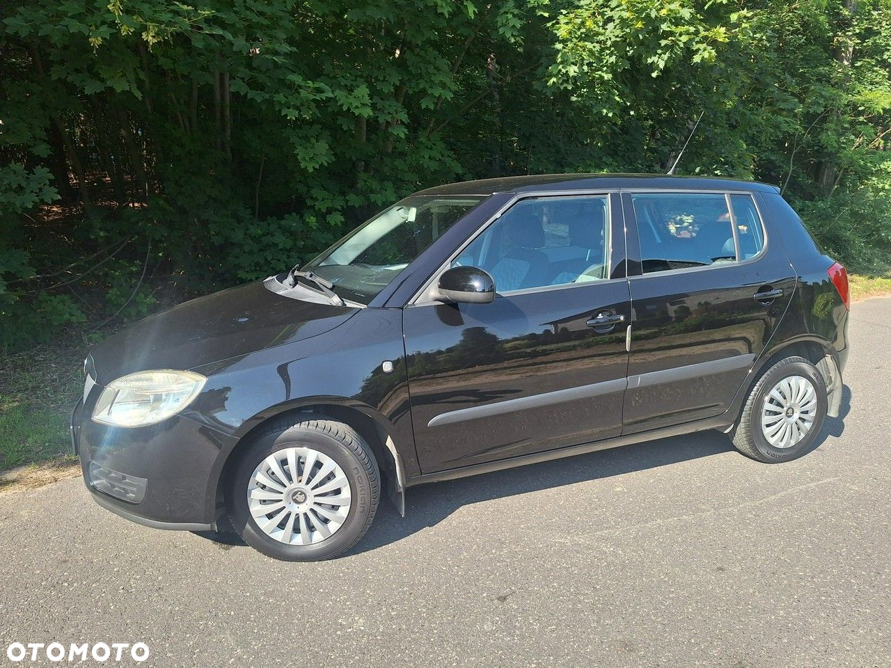 Skoda Fabia - 30