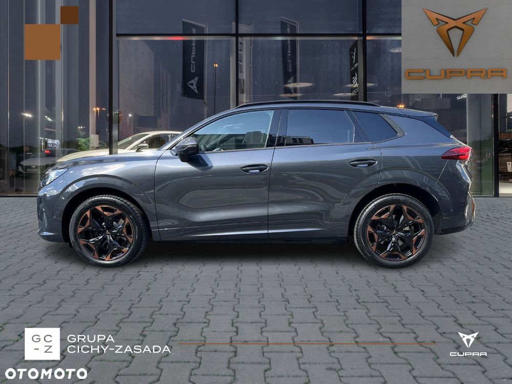 Cupra Terramar - 2