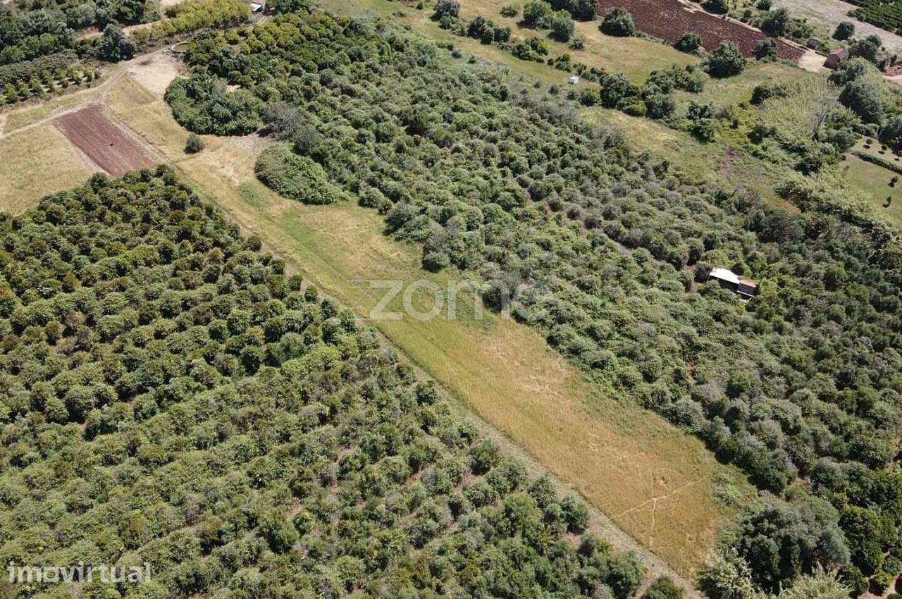 Terreno Rústico em Vilarinho com 2.200m2, Messines - Grande imagem: 4/11
