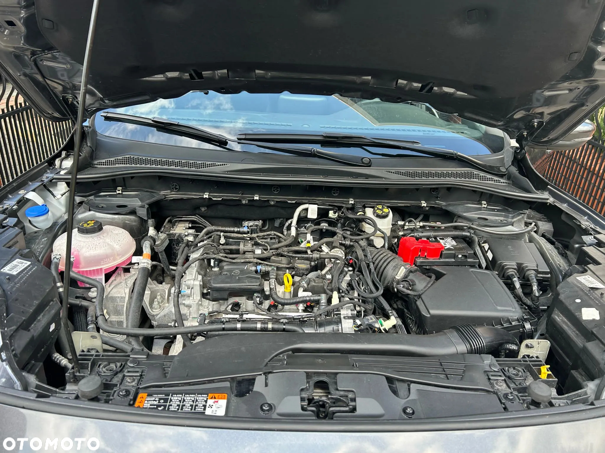 Ford Kuga 1.5 EcoBoost FWD ST-Line - 17