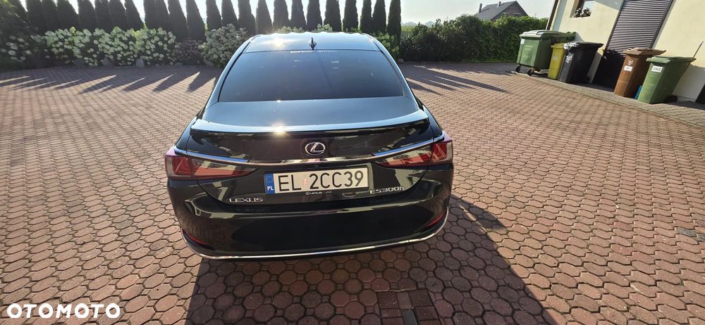 Lexus ES 300h Omotenashi - 3