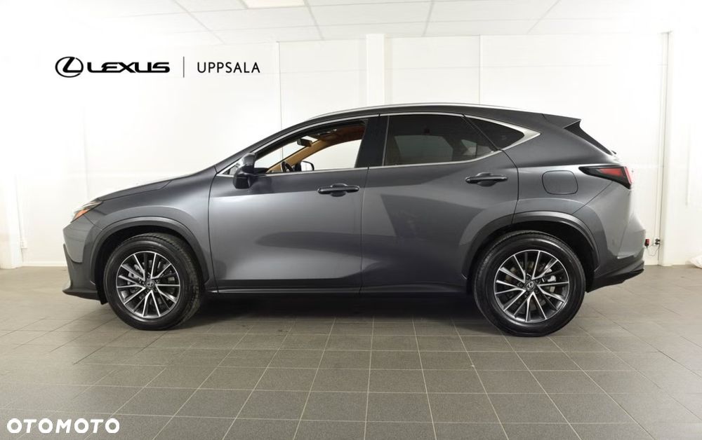 Lexus NX 450h+ E-FOUR Business - 2