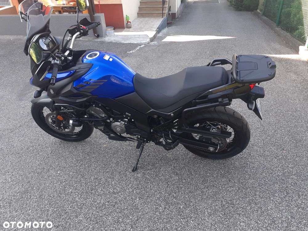 Suzuki DL - 31