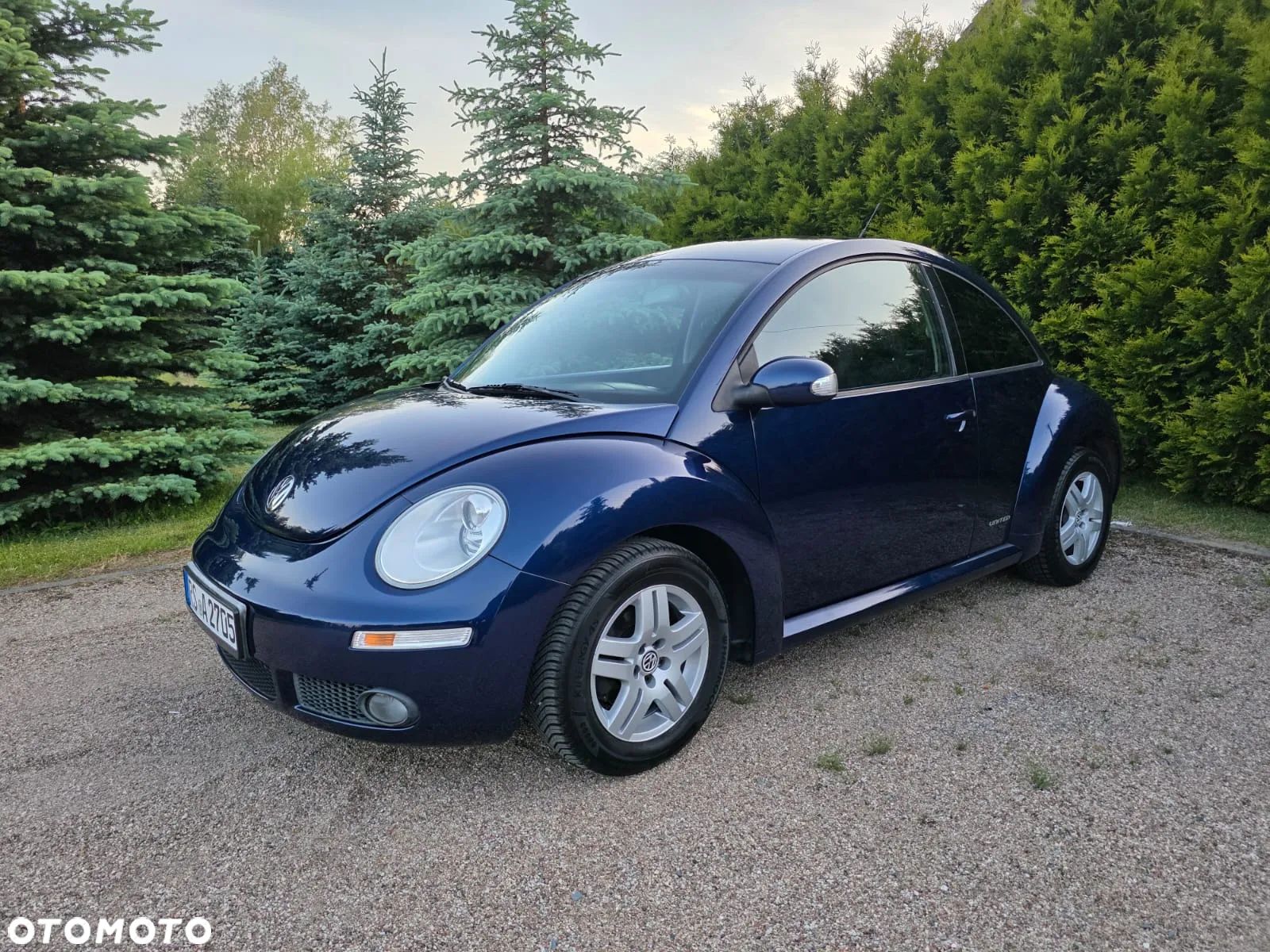 Volkswagen New Beetle 1.4 United - 1
