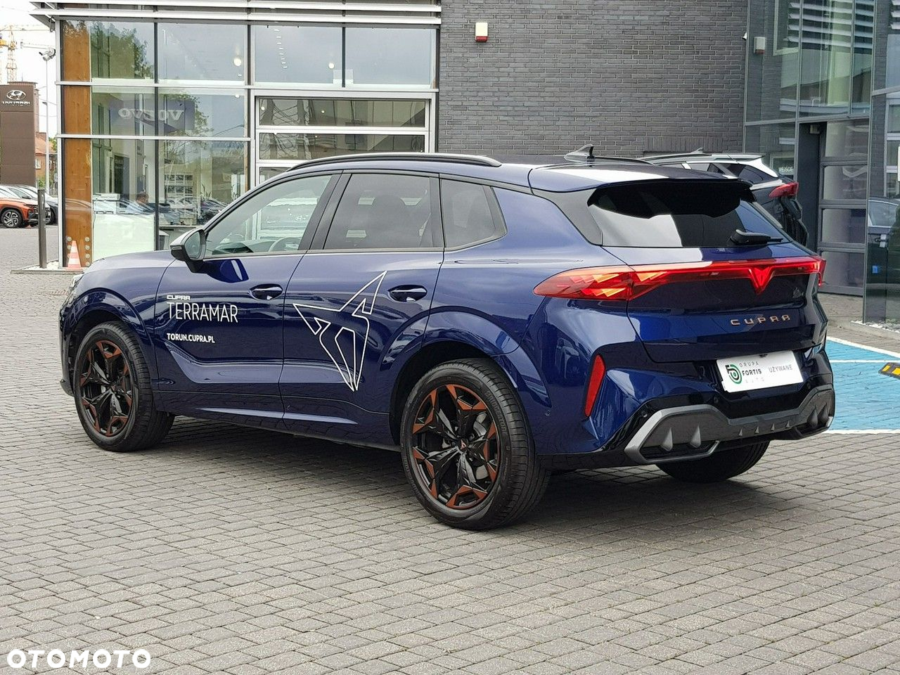Cupra Terramar - 4