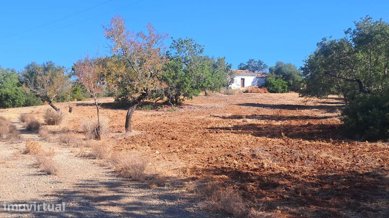 Pequeno monte algarvio com 6.440 m² — a poucos minutos de Olhão - Grande imagem: 2/32
