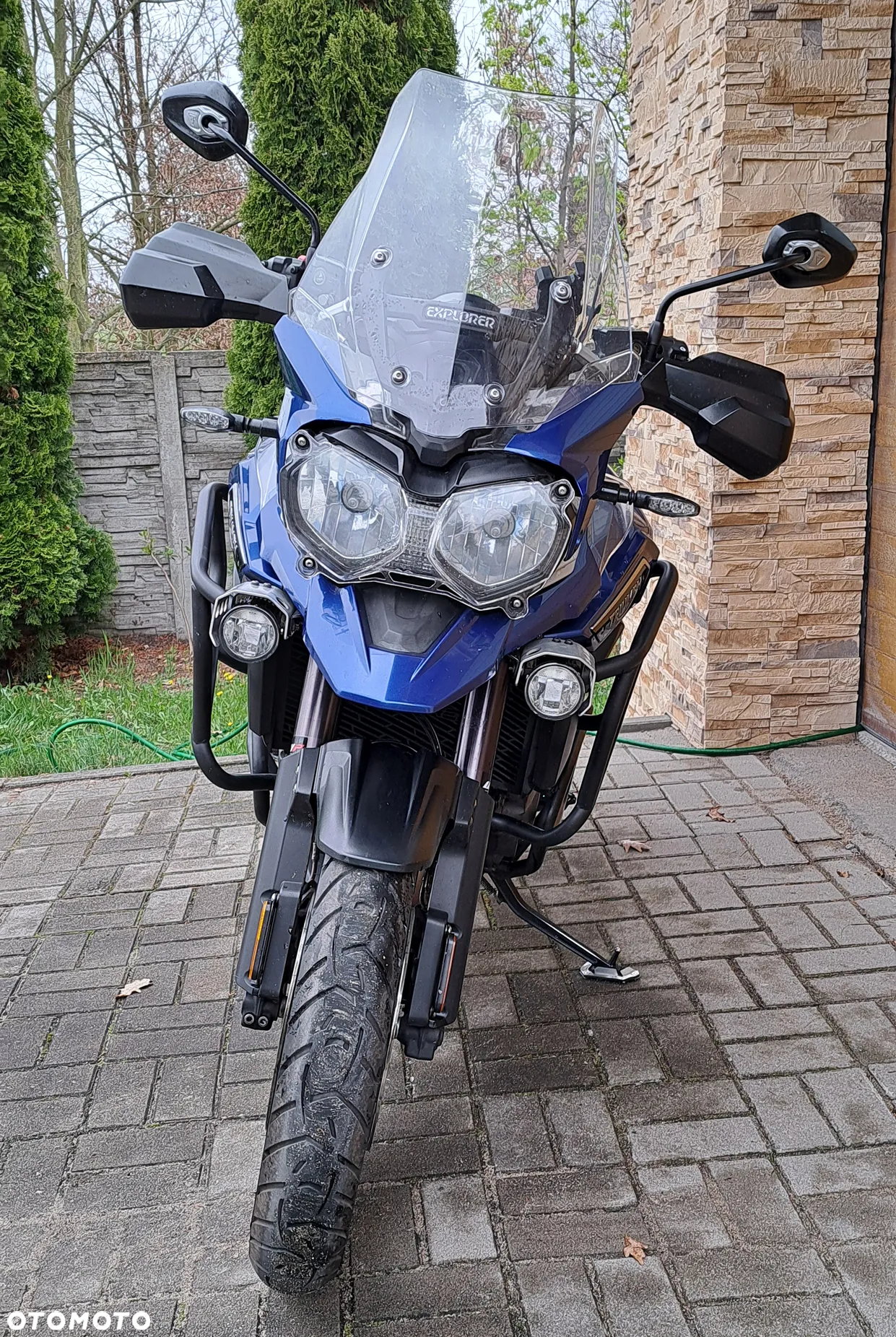 Triumph Tiger - 5