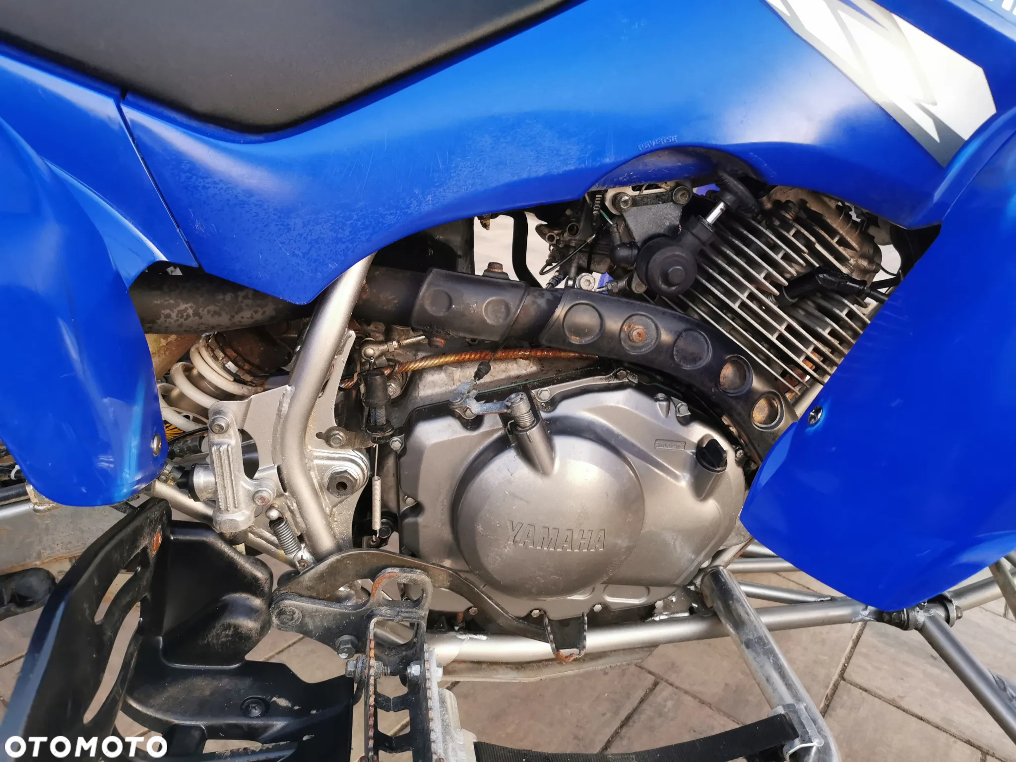 Yamaha Raptor - 10