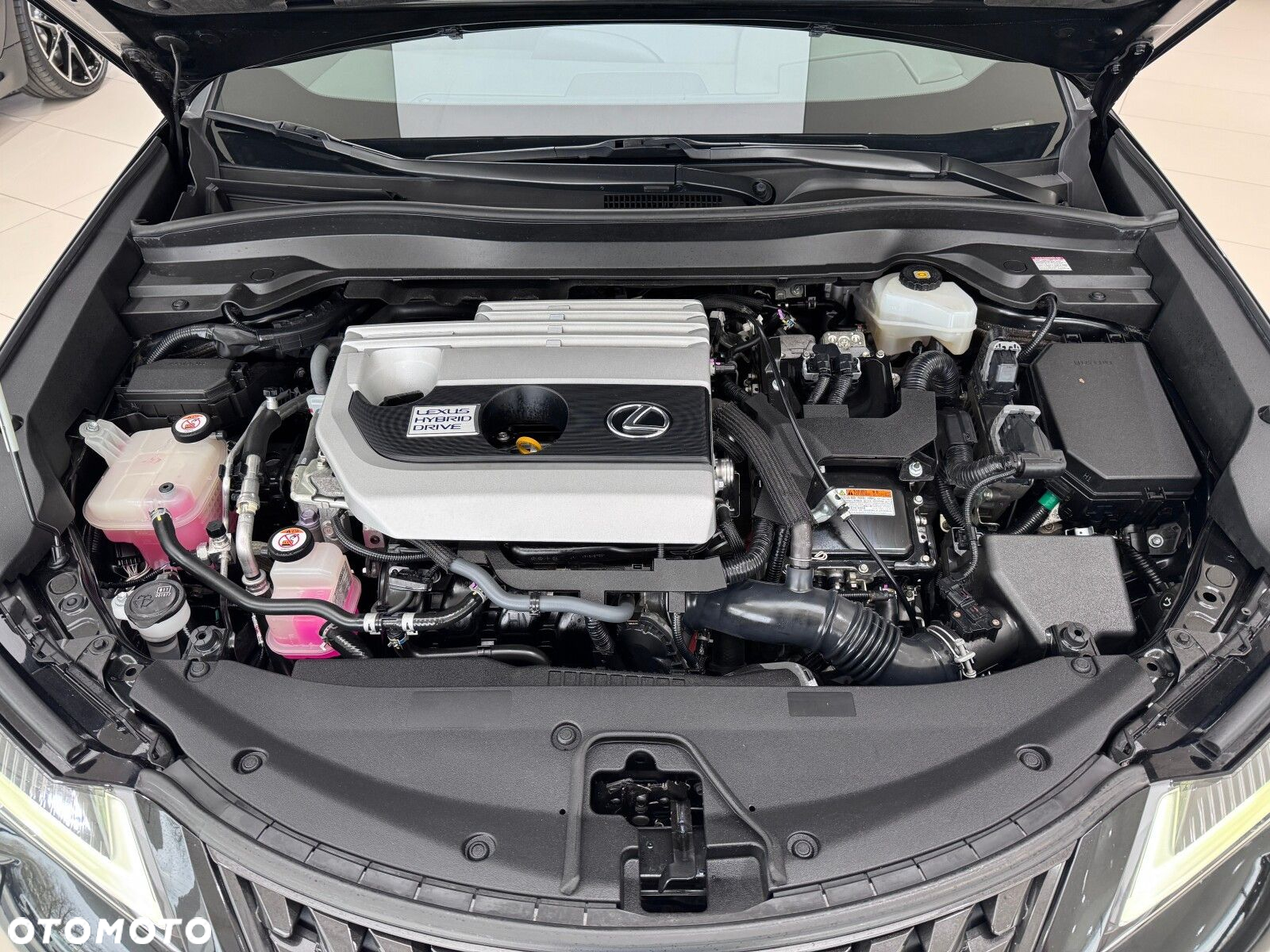 Lexus UX - 19