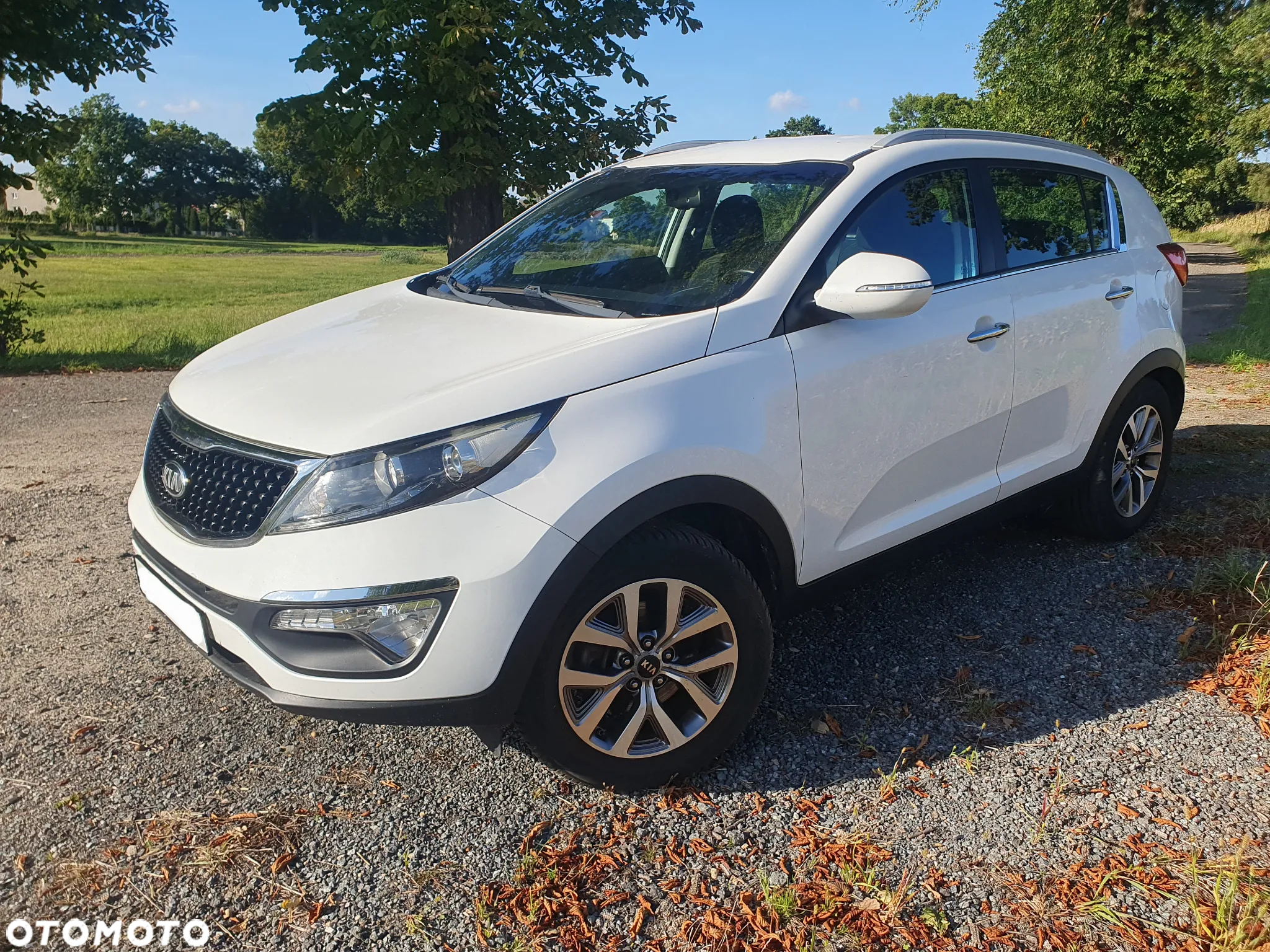 Kia Sportage 1.6 GDI Business Line 2WD - 24