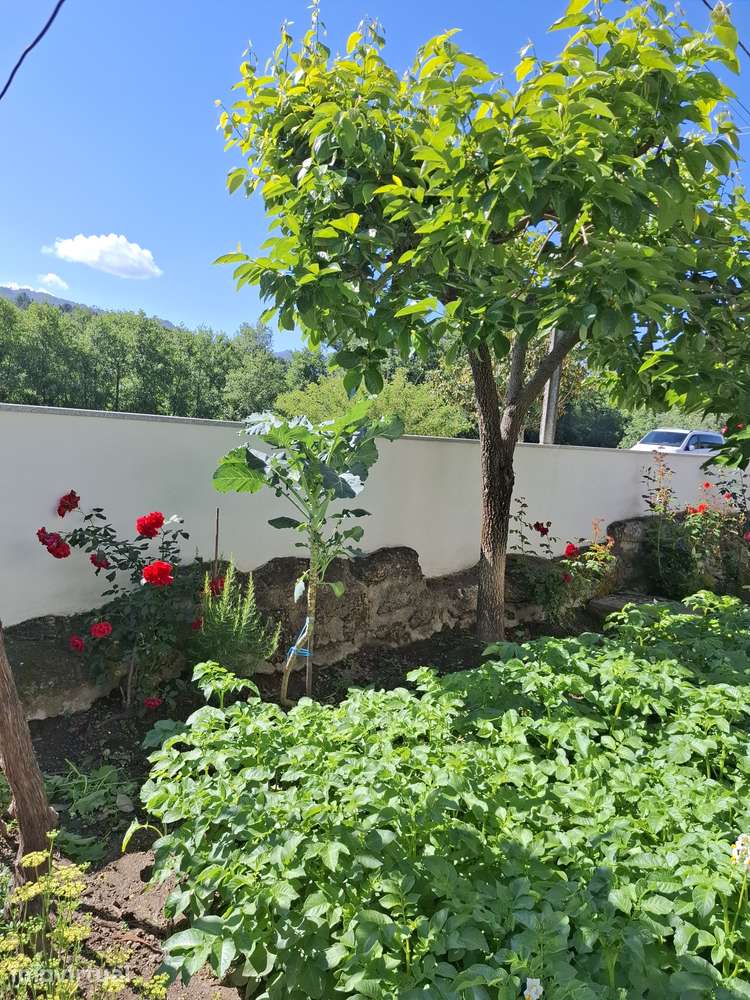 MORADIA ISOLADA EM BAIRRO RESIDENCIAL MUITO SOSSEGADO - Grande imagem: 5/12