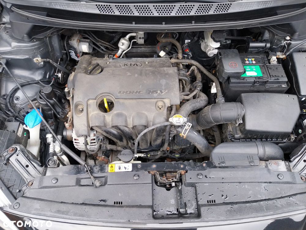 Kia Ceed 1.4 CVVT Dream Team Edition - 14