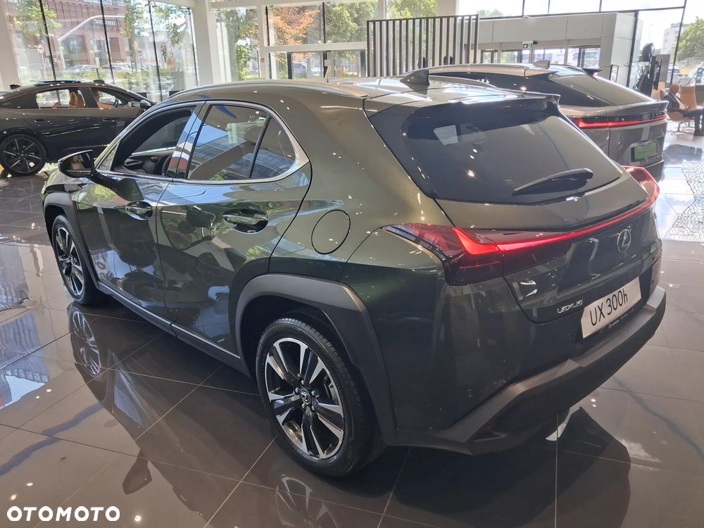 Lexus UX 300h Business - 7