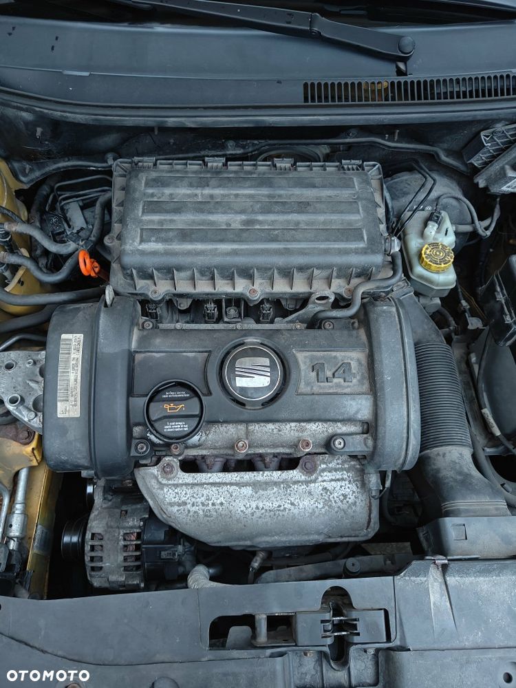 Seat Ibiza - 5