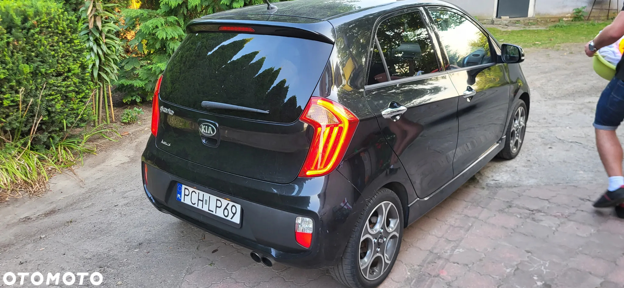 Kia Picanto 1.0 Dream Team Edition - 2