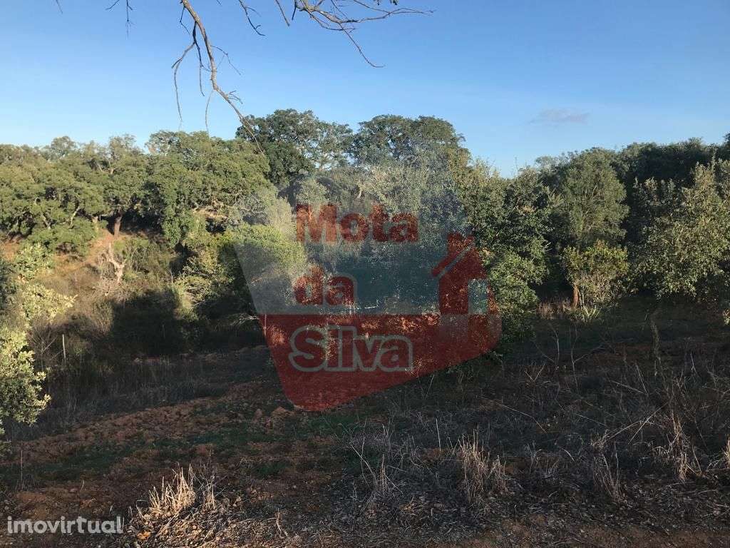 Magnífico Terreno em São Francisco da Serra - Grande imagem: 2/8