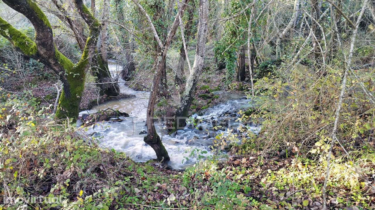 Quinta de 11 hectares com uma ribeira em Boavista dos Pinheiros - Grande imagem: 4/32