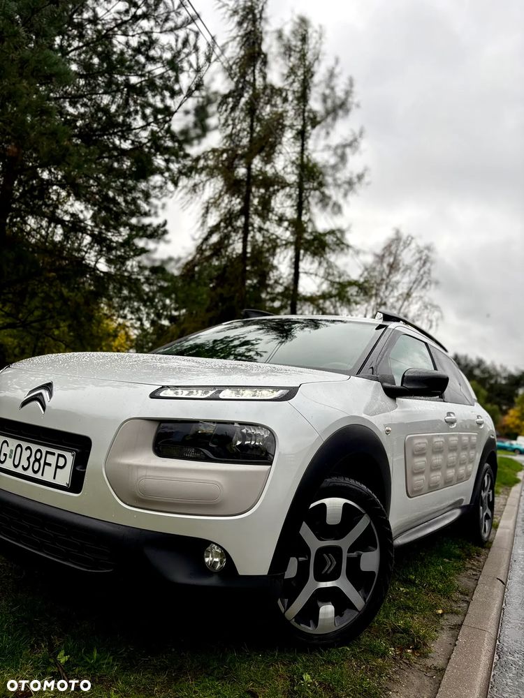 Citroën C4 Cactus PureTech 110 Stop&Start Shine - 22