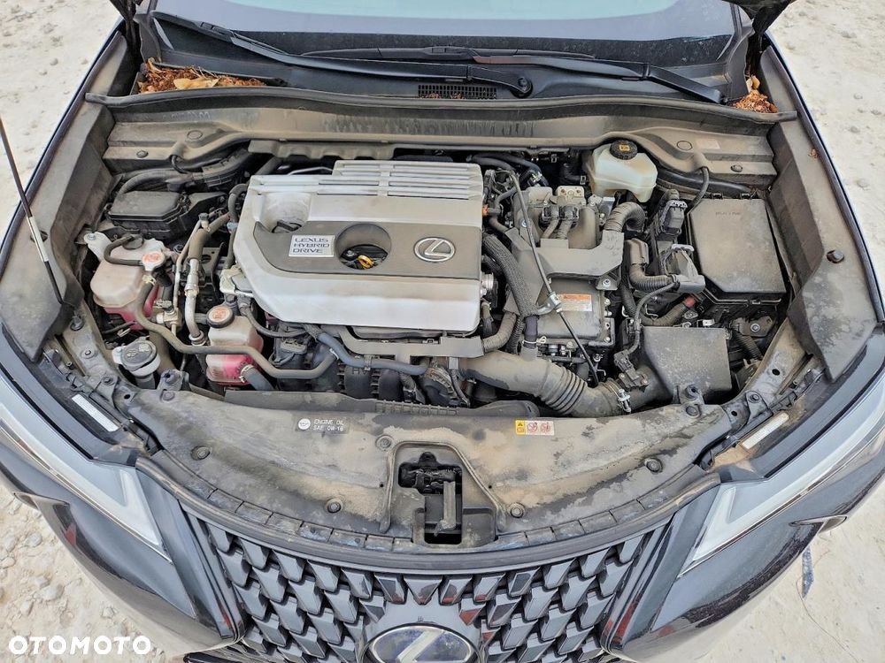 Lexus UX - 12