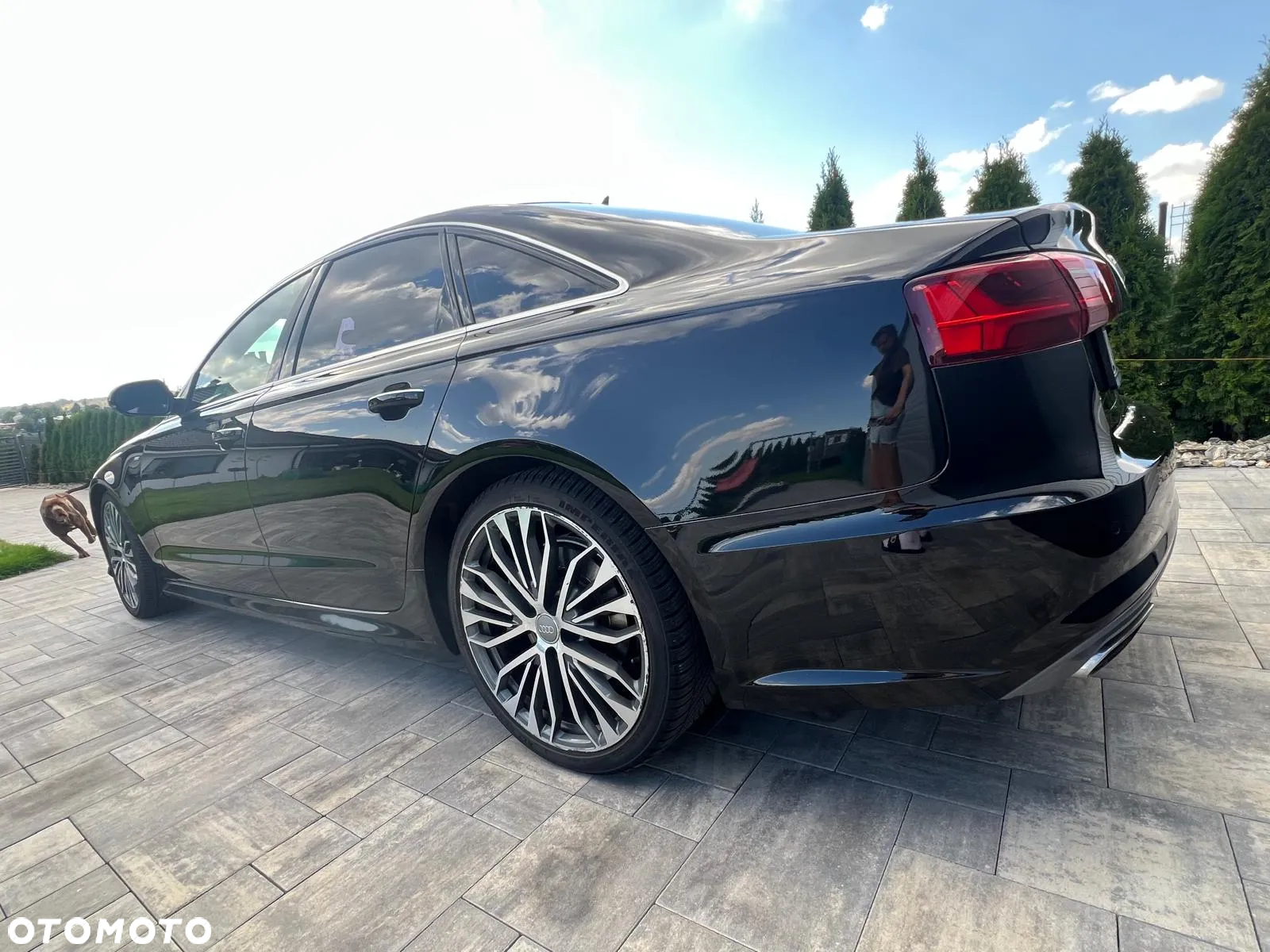 Audi A6 - 13