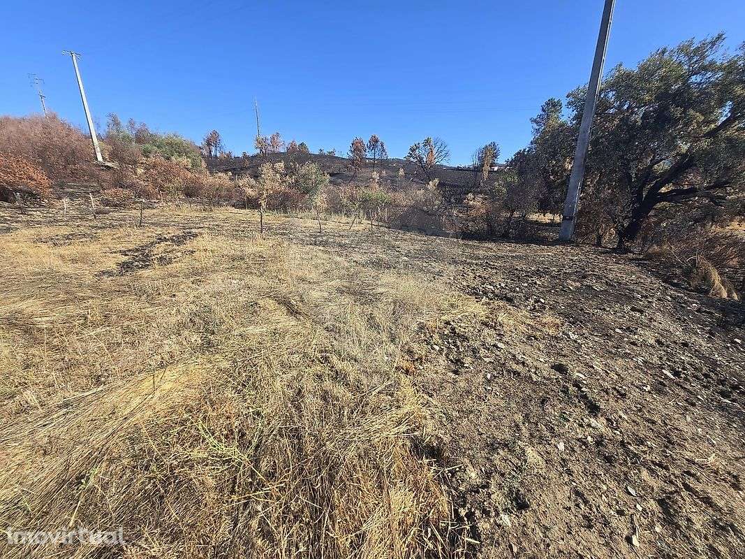 Terreno  para venda - Grande imagem: 3/31