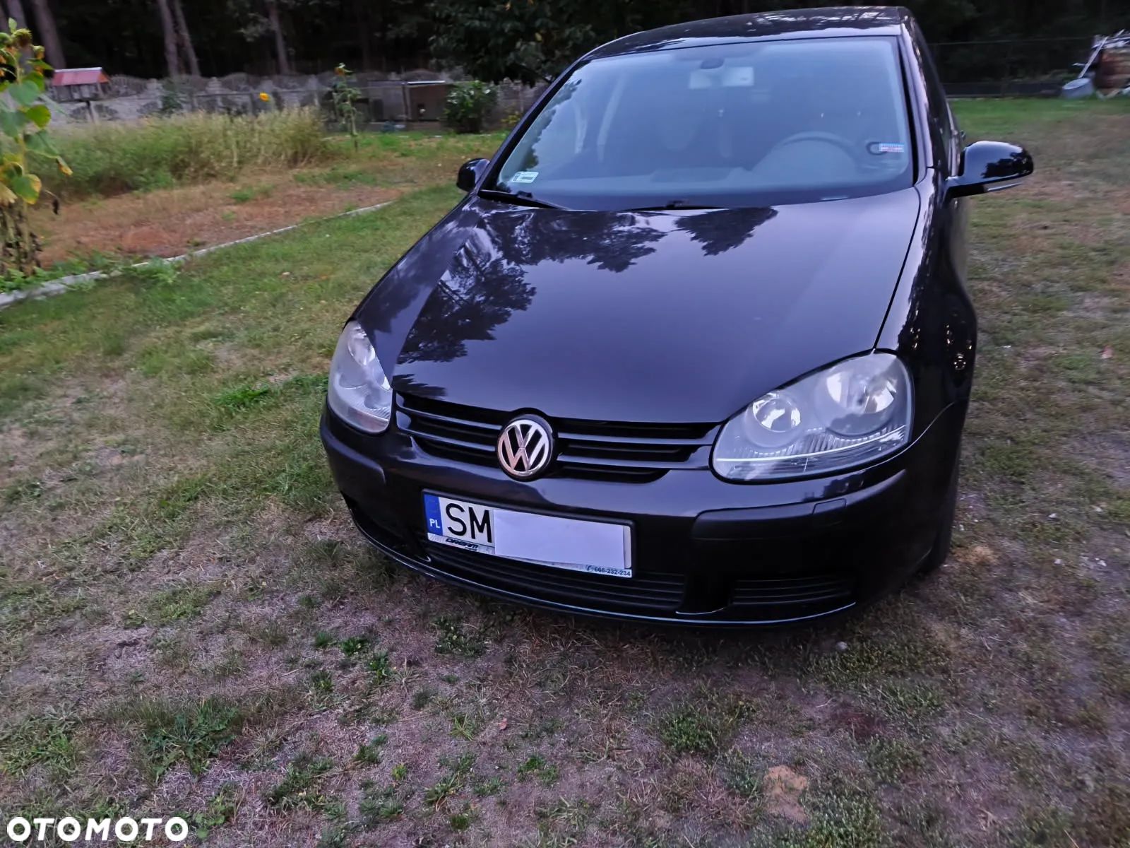 Volkswagen Golf - 1