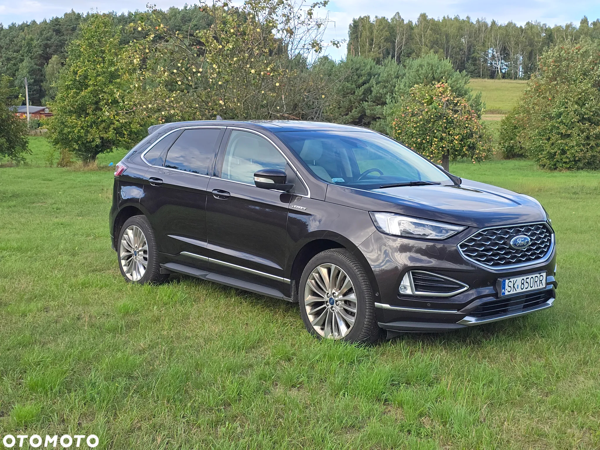 Ford Edge 2.0 EcoBlue Twin-Turbo 4WD Vignale - 2
