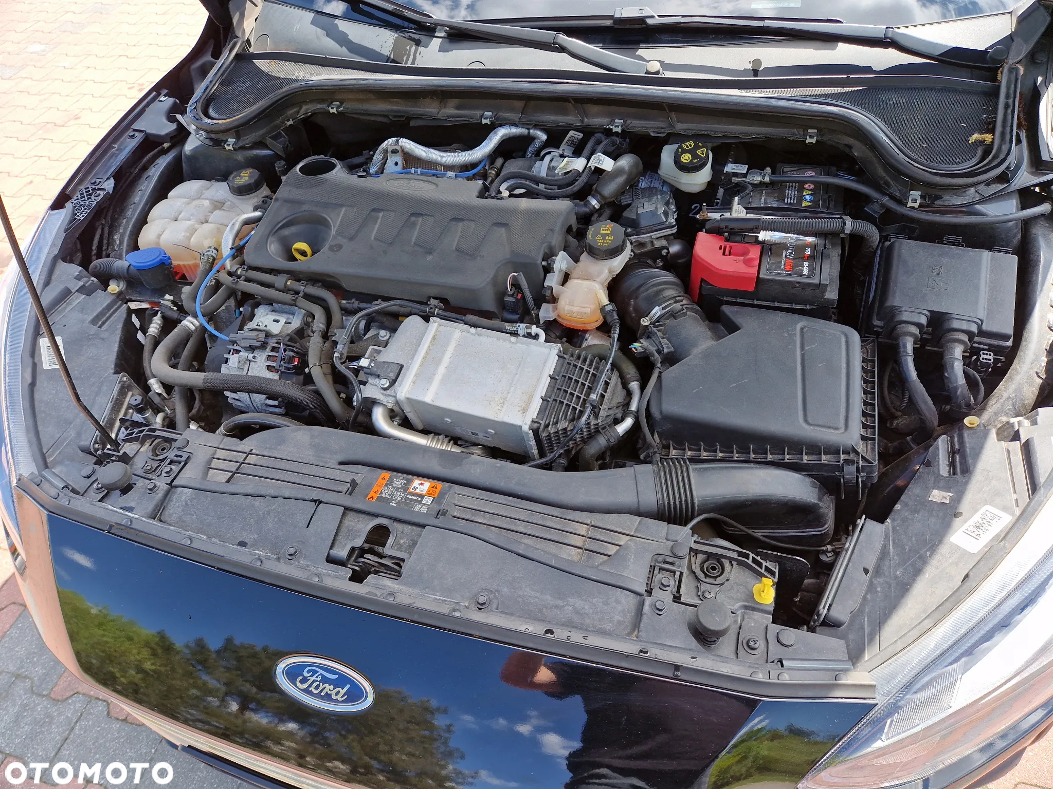 Ford Focus 2.0 EcoBlue Titanium - 15