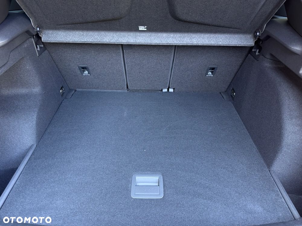 Cupra Terramar 2.0 TSI 4Drive DSG - 20