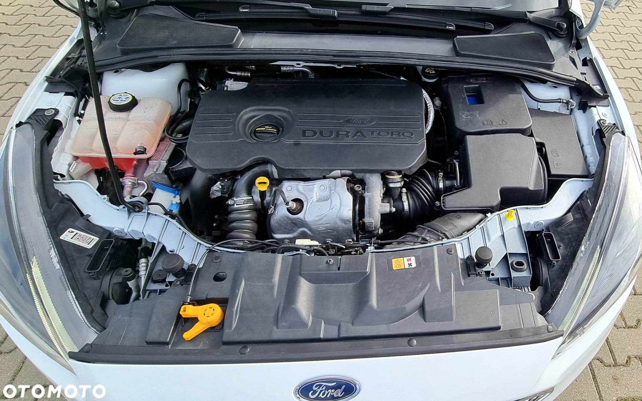 Ford Focus 1.5 EcoBlue Start-Stopp-System TITANIUM - 15