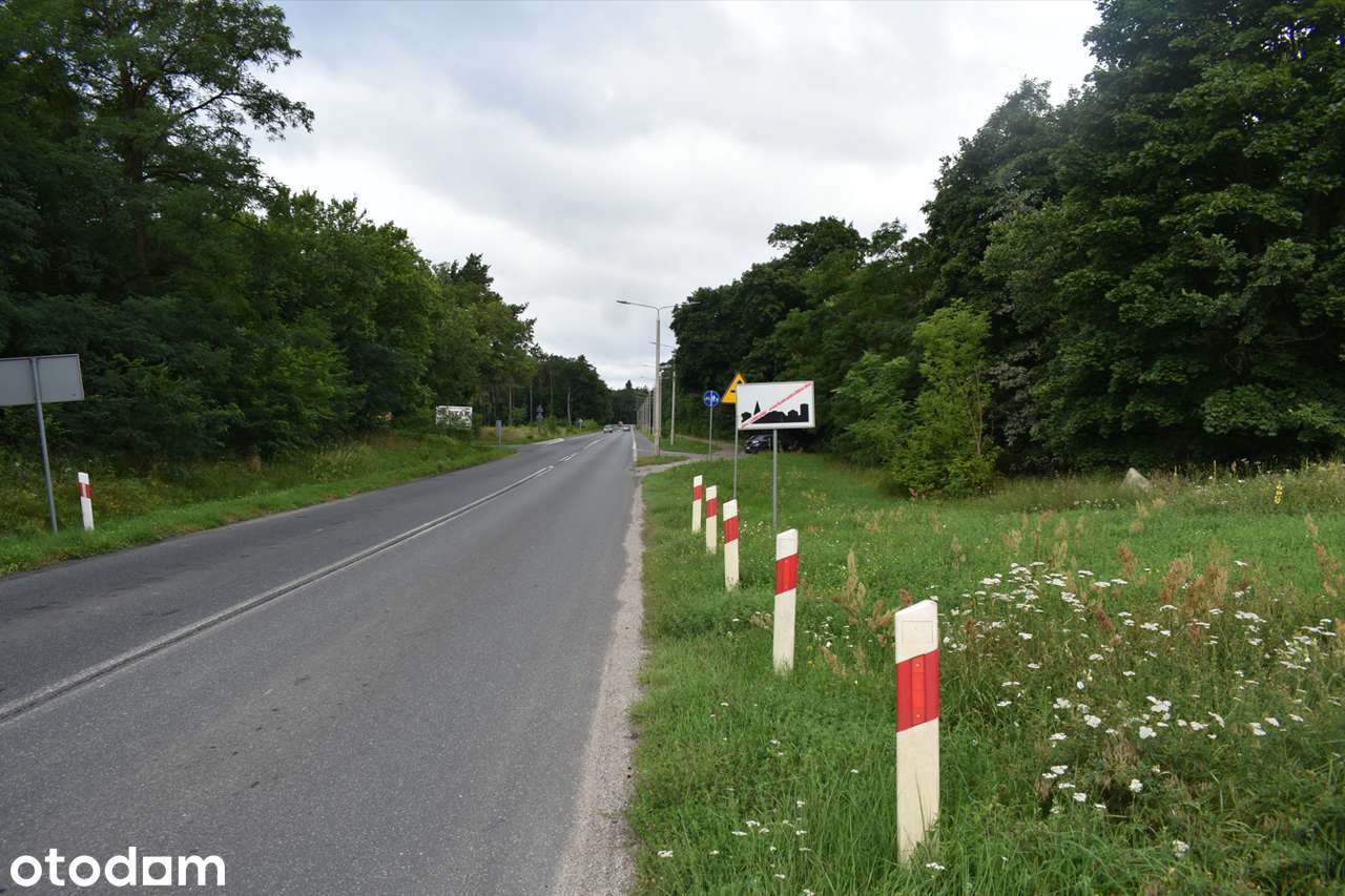 Atrakcyjna działka przemysłowa na wynajem w Rózinowie pod Włocławkiem! - Pełny obrazek: 3/8