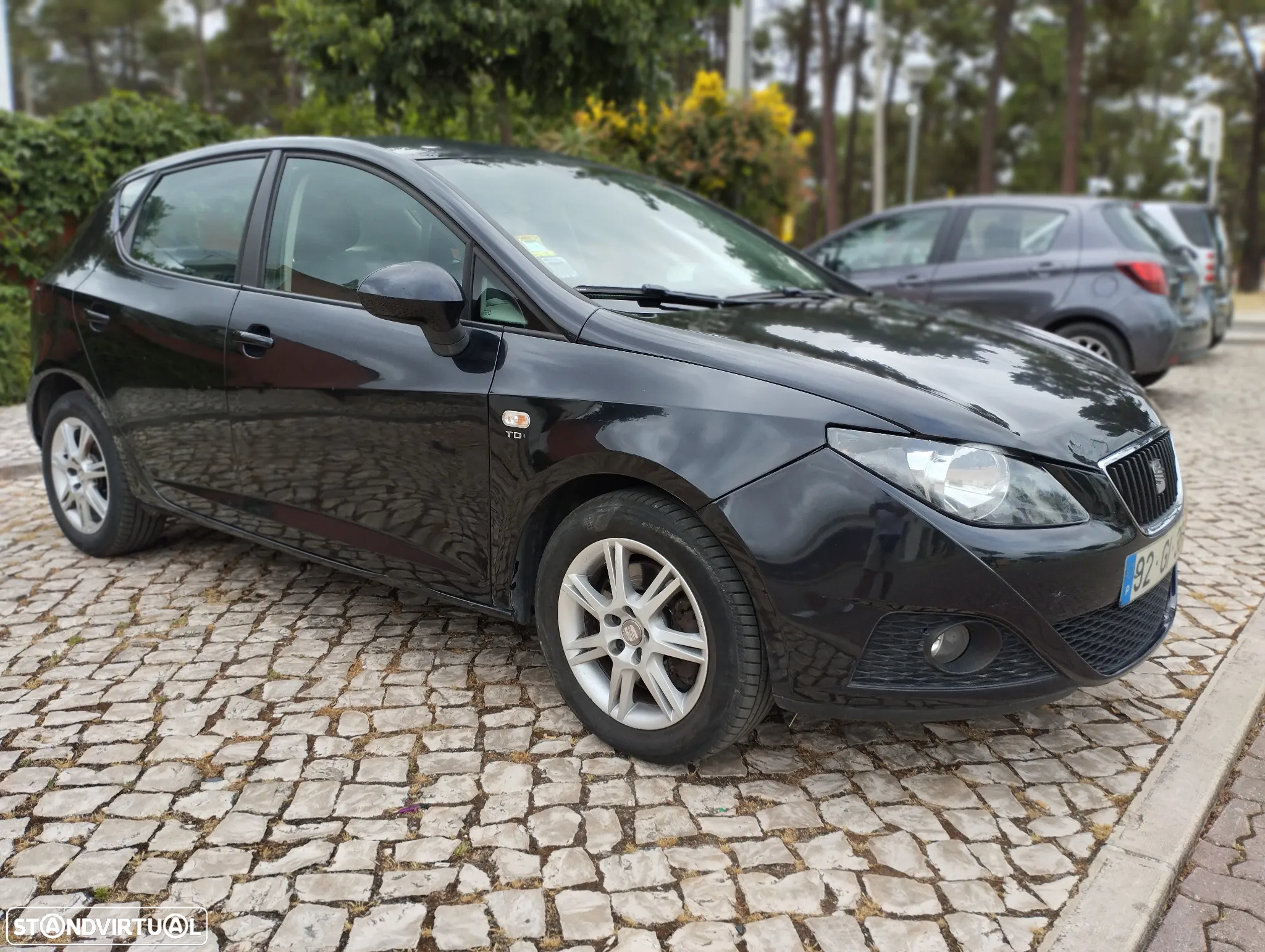 SEAT Ibiza 1.9 TDi Style DPF - 2