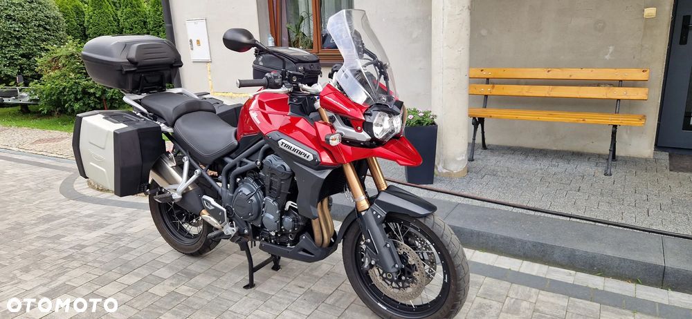 Triumph Tiger - 1