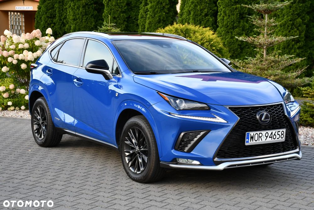 Lexus NX 300h E-FOUR F SPORT - 10