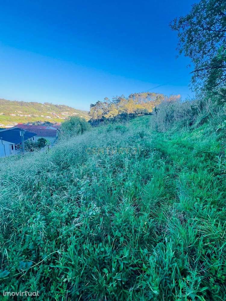 Terreno para construção no Vimeiro - Grande imagem: 5/5