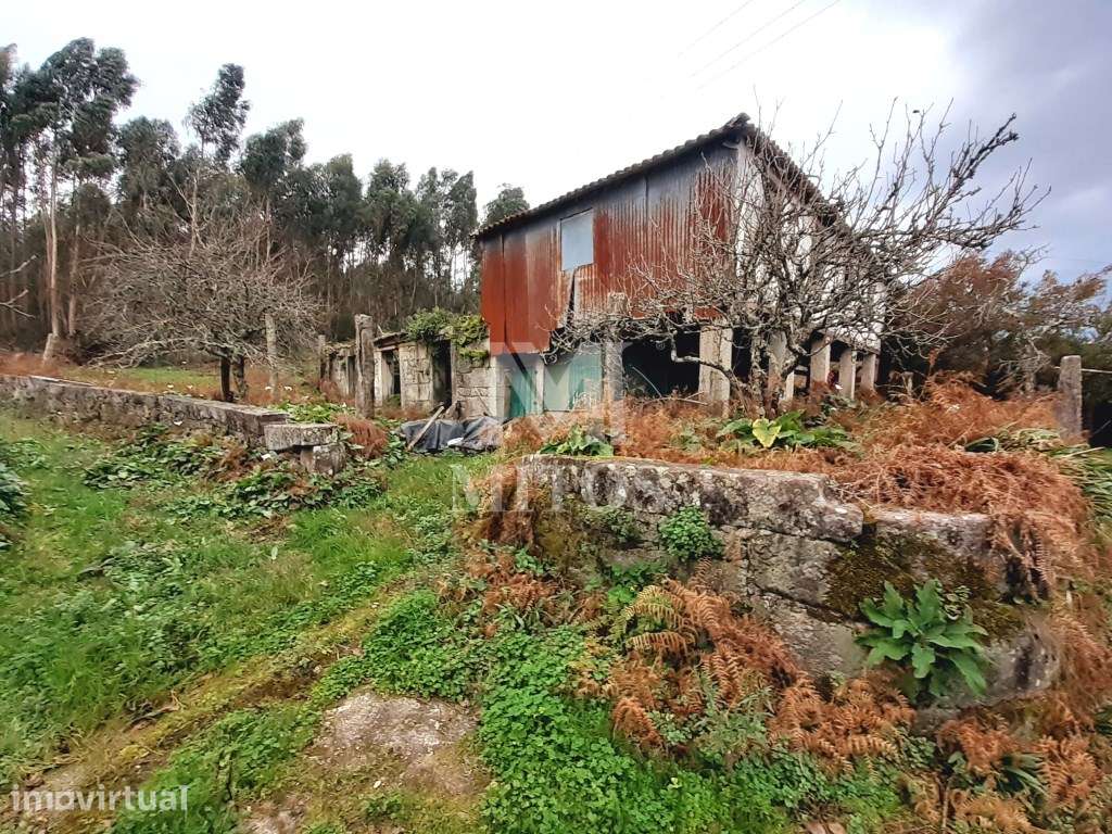 Quinta com terreno para construção - Darque - Grande imagem: 4/12