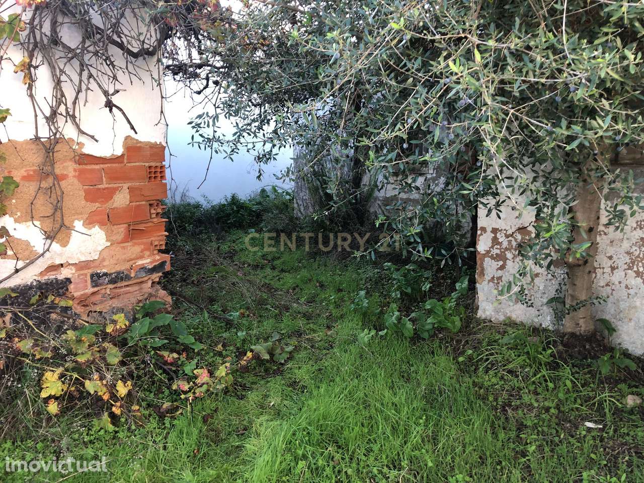 Ruina com Projeto Aprovado em Torres Novas, Santarém - Grande imagem: 2/13