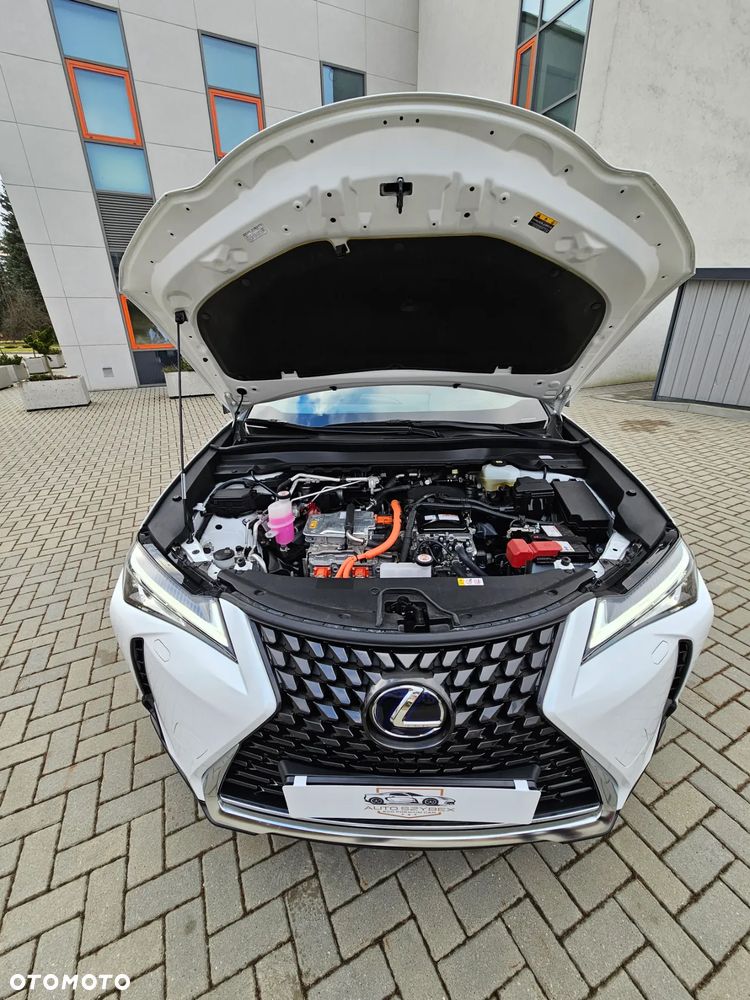 Lexus UX 300e 54.3 kWh Business Edition 2WD - 12