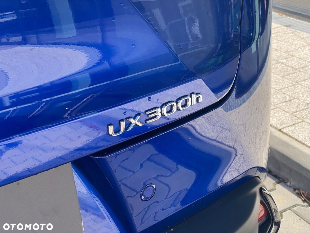 Lexus UX 300h F Sport Design - 35