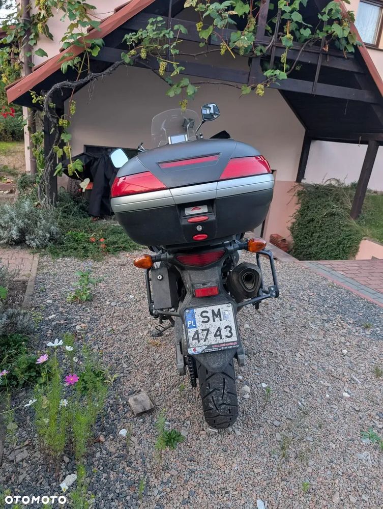 Suzuki V-STROM - 4