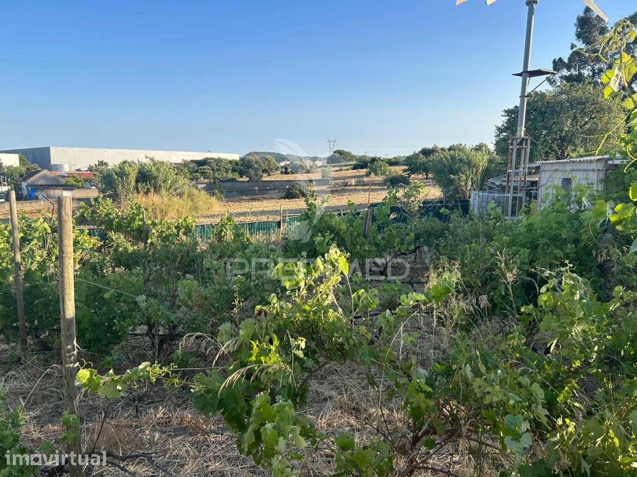 Terreno para moradia com 539m2 no Carregado - Grande imagem: 2/14